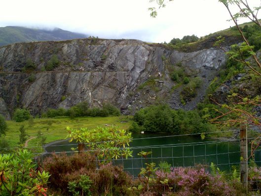 My beautiful picture