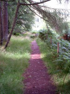 My beautiful picture
