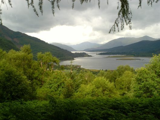 My beautiful picture