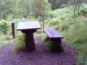 My beautiful picture