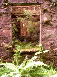 My beautiful picture