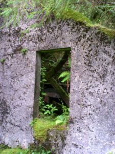 My beautiful picture