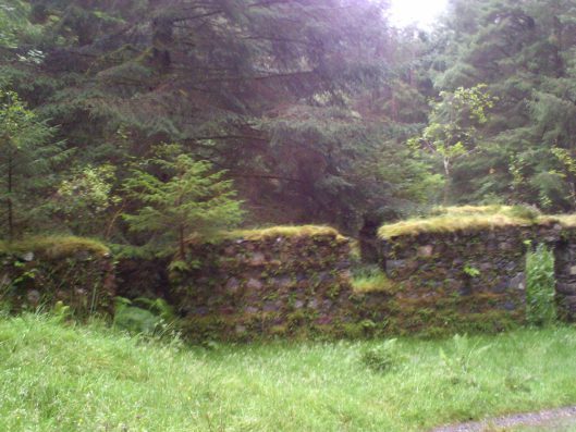 My beautiful picture