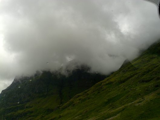 My beautiful picture