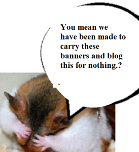 zdickensnsnnnsnsfdnfbdsnfbdnfbdnfbdnfbdnf