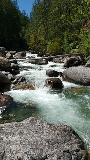 Coffee Creek