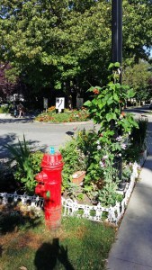 20160729_WE garden1