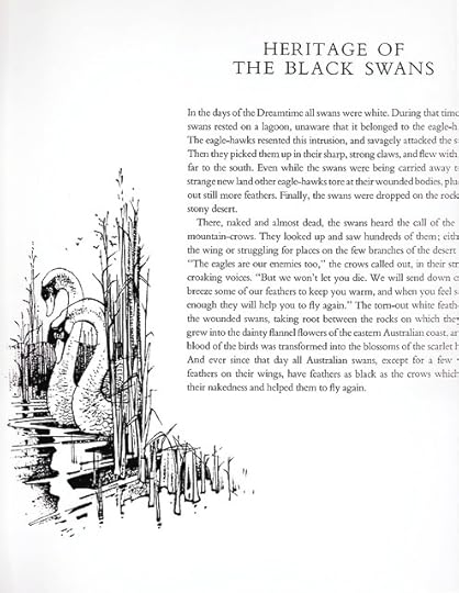 Black swans text copy