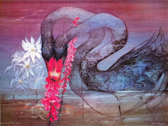 Black swans_0001 copy