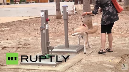 dog toilet