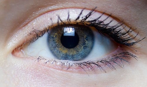 800px-Iris_-_right_eye_of_a_girl.jpg