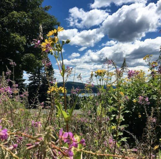 Screen Shot 2016-08-05 at 1.36.09 PM