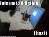 research cat