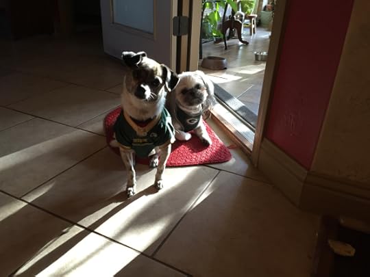 Dogs in Packer Outfits 001