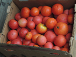 DSCN4654
