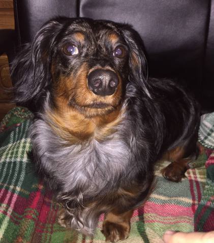 Riley chair