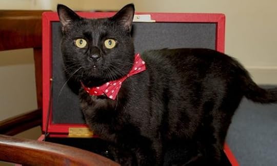 Gladstone-treasury-cat