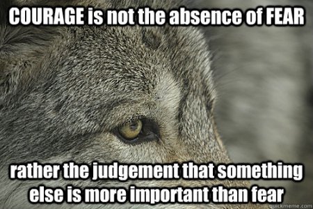 Courage is not the abscence of fear, rather the judgement that something is more important than fear