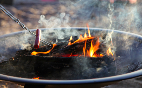 Hot_Dog_on_Campfire[1]