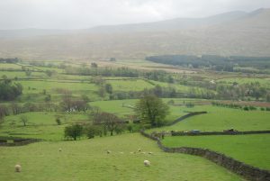 On the road in the Highlands of Scotland. Photo by John Morgan