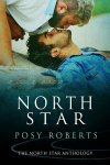 NorthStar-alt