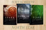 NorthStarBanner