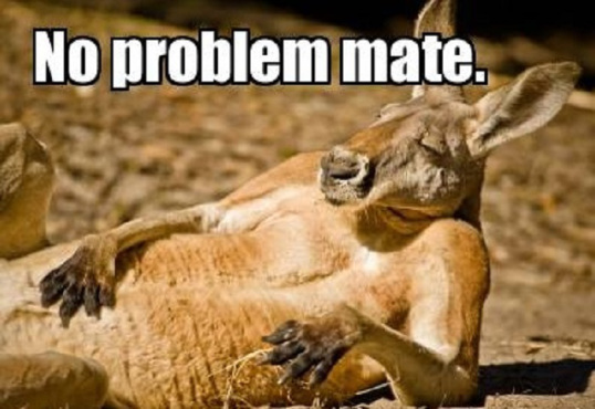 No_Problem_Mate