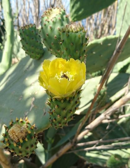 2016-07-31 11.04.39 (2)