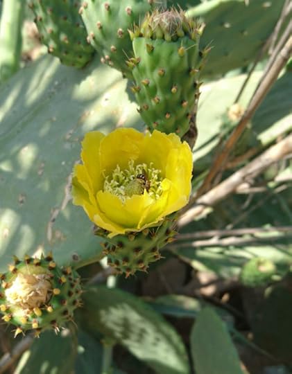 2016-07-31 11.04.46 (2)