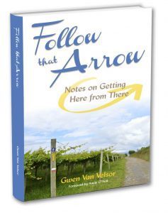 gwen-vanvelsor-3d-book-cover-apr16-810x1024