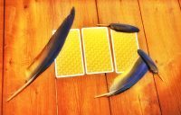 Free 3 card Tarot Reading – Which card is calling you today?
