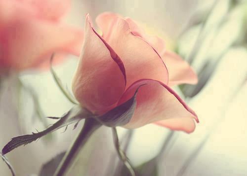 Inexpressible