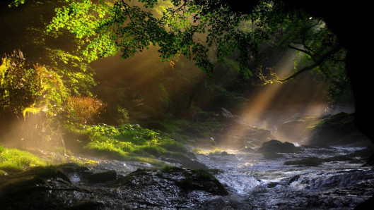 The River of Time