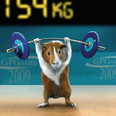 funny-olympics_020