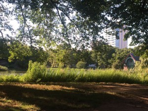 IMG_5951