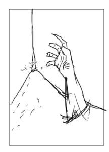 13723931_1041368812626568_5126599811829676248_o