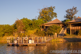 DumaTau, Linyanti, Botswana