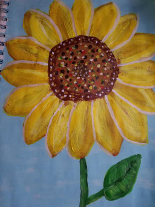 sunflower