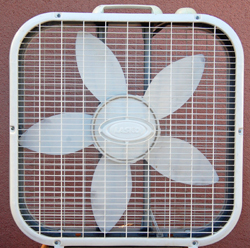 Jane's Fan