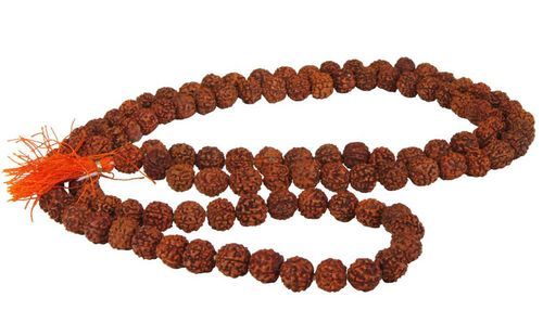 Rudraksha