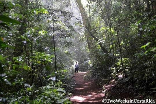 Curi Cancha Reserve - Avoiding the Crowds in Monteverde