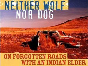wolfdog