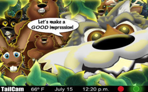 page7exp