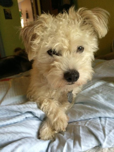 Waiting patiently for someone to throw me the ball.