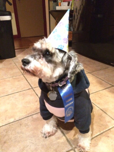 Celebrating her graduation from Canine Good Citizen class, 2015