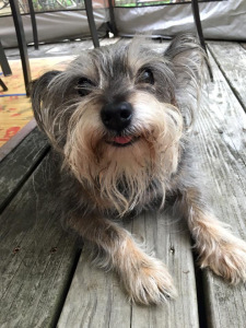 Loving summer on the deck!