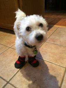 Not sure I like this winter thing, Mom...