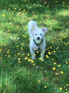 I like the summer way better!