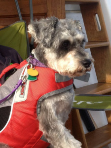 Heading out on a boat ride