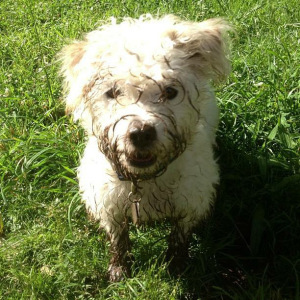 I love mud!